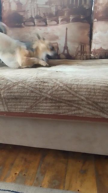 Та самая ШПУЛЯ: