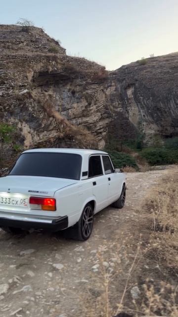 Дикая Роза 🥀 смотреть онлайн