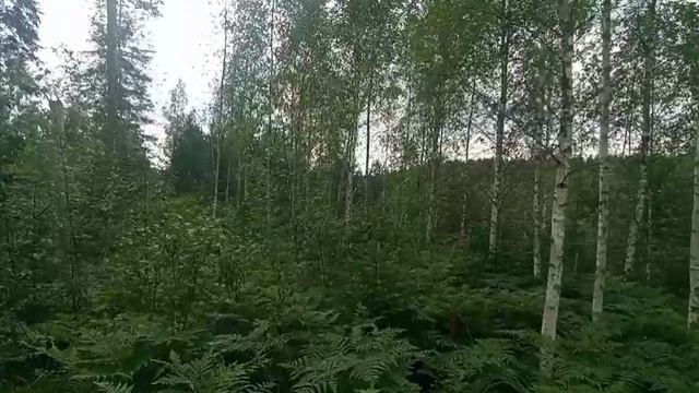 ШОК! Не ожидал поймать столько смотреть онлайн