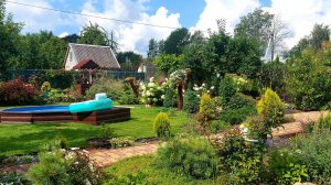 Любимая дача в перерывах между дождями🌦🌸🌲