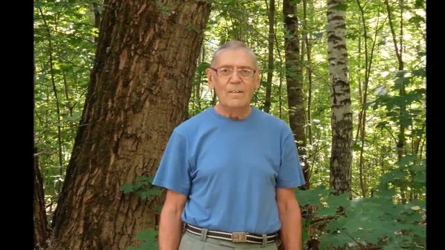 Я хочу - Автор Наталья Геут музыка и поют Братья Егоровы смотреть онлайн