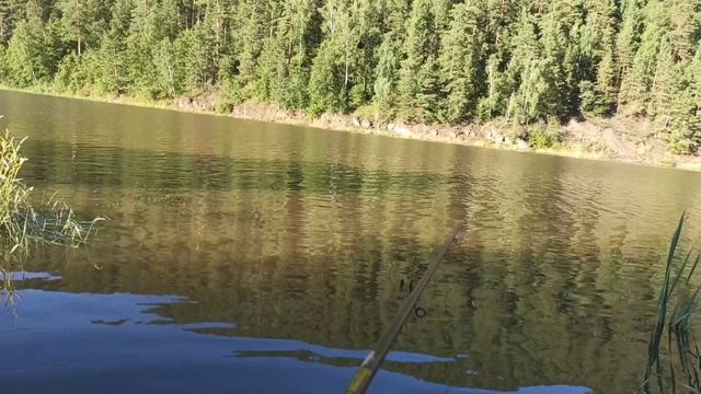 Вечерний Поиск рыбы. Река-Большая Сатка.