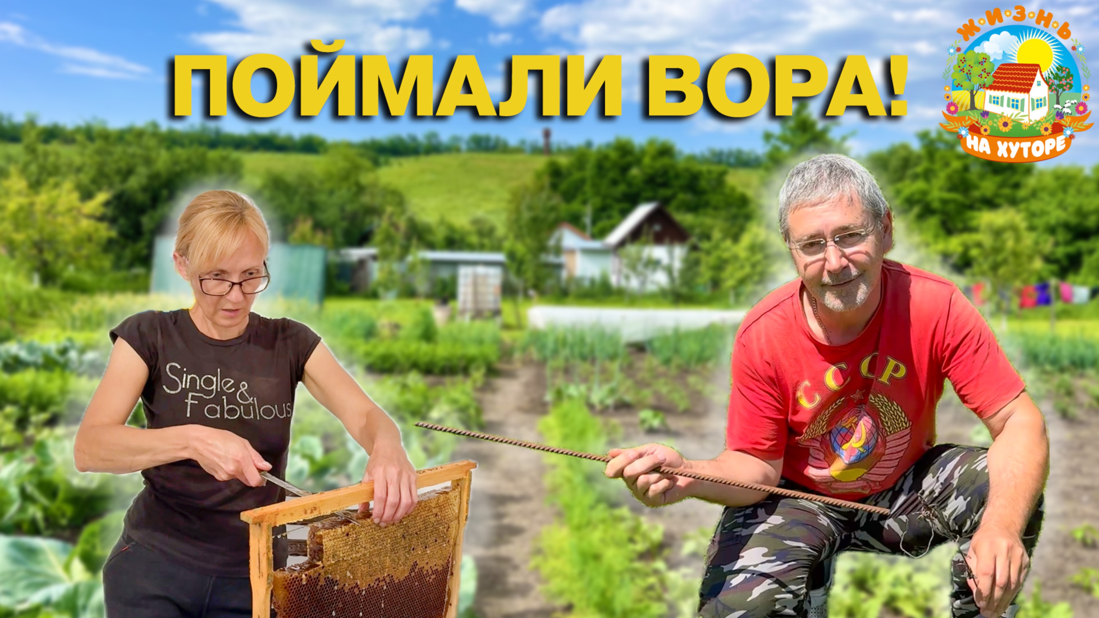 🟢ЖИЗНЬ В ДЕРЕВНЕ. Кто попался на крючок? Ограбили пчёл! смотреть онлайн