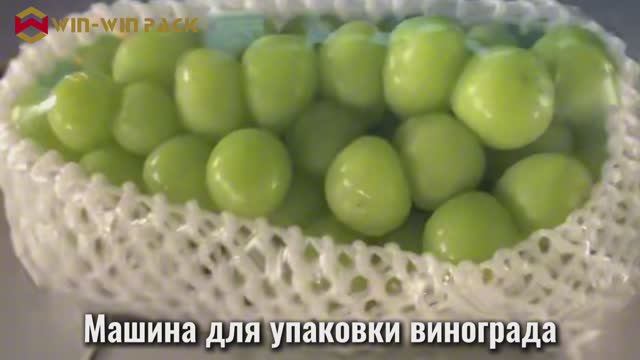 Машина для упаковки винограда WIN-WIN PACK | 15 упаковок в минуту