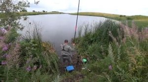 Рыбалка на карпа, ловля на маховую удочку.