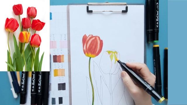 Урок - рисуем тюльпаны спиртовыми маркерами смотреть онлайн