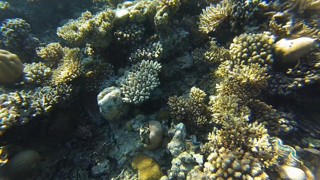 Поплаваем 0.4 смотреть онлайн