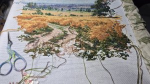 Вышивка крестиком. Ну что готовы бэкстич вышивать вы свои,  а я свой