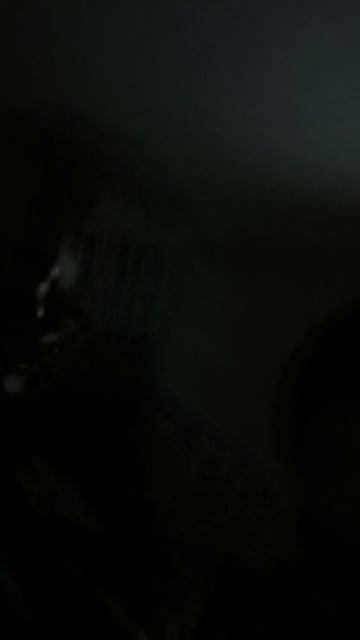 Илюшкины игрушки