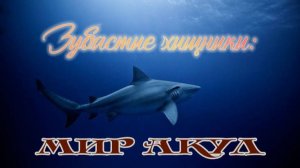 Зубастые хищники : Мир акул