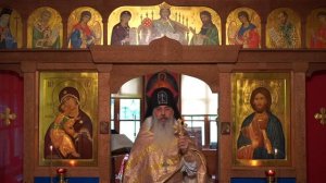 Защита от блудного беса. Схиигумен Гавриил.