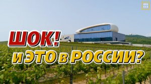 Винодельни: невероятно красивые места для отдыха