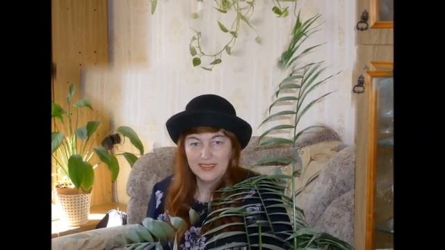 Кареглазая - Автор Жека музыка и поёт Александр Дюмин смотреть онлайн