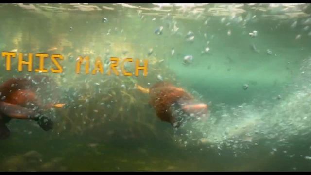 Прыгуны - Русский трейлер(дубляж)