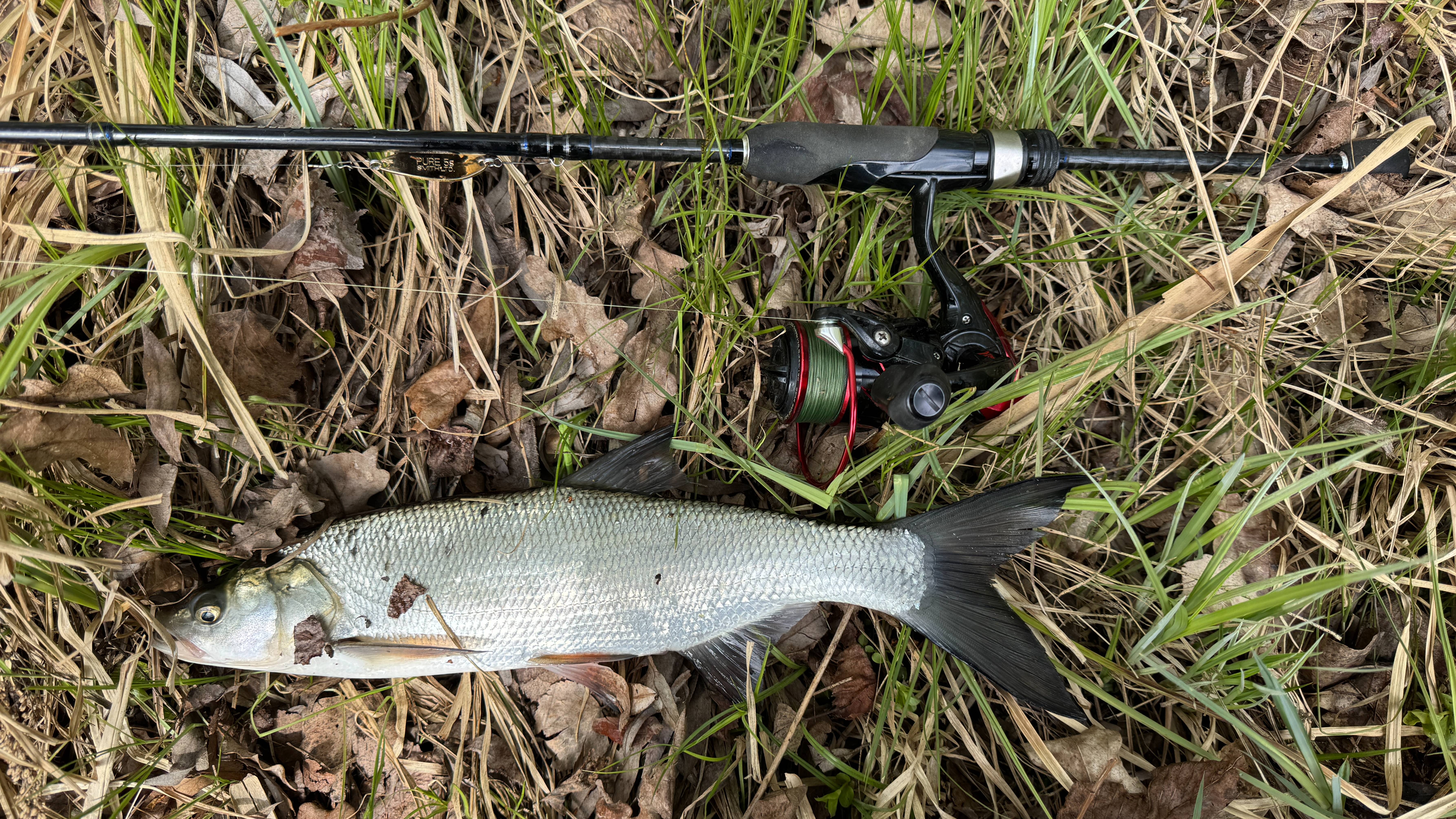 Рыбалка на спиннинг на лучшую колеблющуюся блесну. Блесна. Рыбалка на блесну. смотреть онлайн