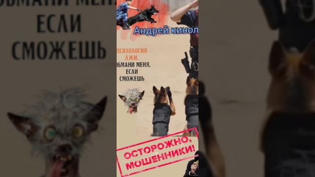 Собрание сочинения 404 смотреть онлайн