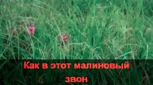 «Николай Гнатюк - Малиновый звон»