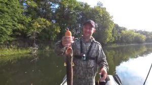 Рыбалка на спиннинг летом