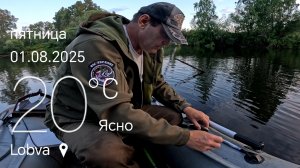 Перемёт на Щуку Сработал, есть результат.