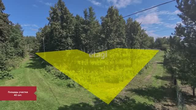 3 9196351 смотреть онлайн