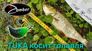 ТУКА косит голавля. Отличная альтернатива воблерам и блеснам. Stream Cup 2025.