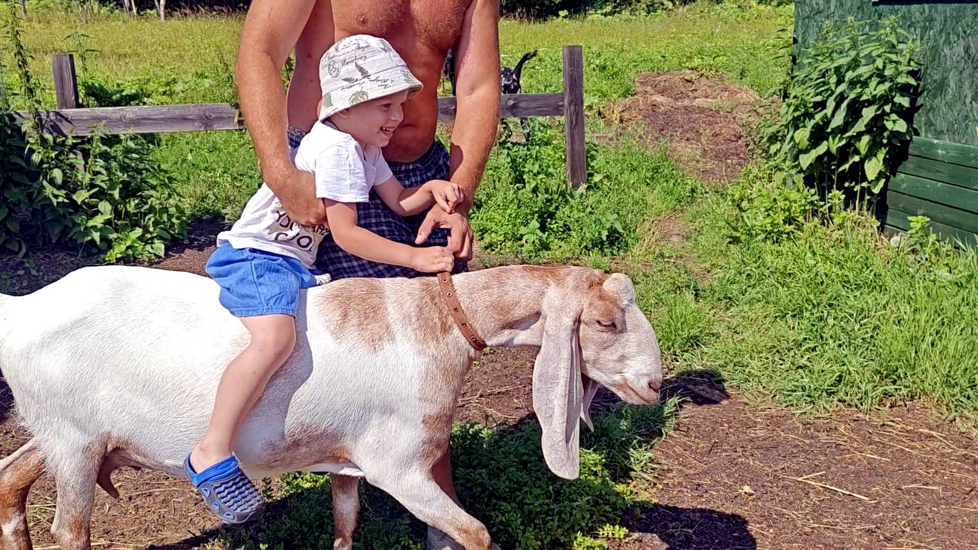 САМЫЕ БЛАГОДАРНЫЕ ТУРИСТЫ НА НАШЕЙ УСАДЬБЕ! смотреть онлайн