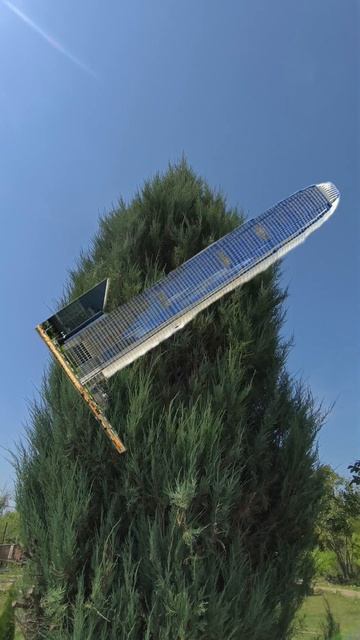 Можжевельники бывают разные 🌲 смотреть онлайн