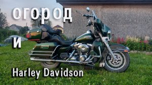 Harley Davidson и огород