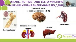 Что такое БИЛИРУБИН?