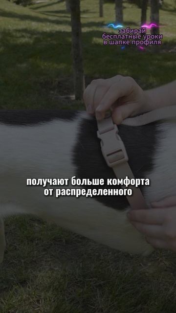 🎁Бесплатные уроки. Жми сюда! смотреть онлайн