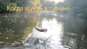 ЩУКА В ИЮЛЕ ВЫХОДИТ ИЗ СУМРАКА