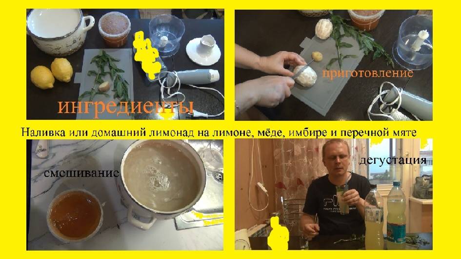 Наливка или домашний лимонад на лимоне, мёде, имбире и перечной мяте