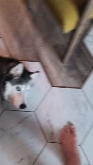 Женская тяга