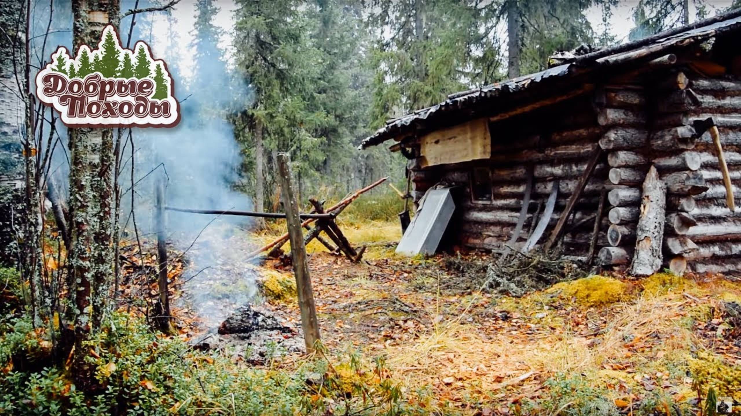 Поход в лес. Таёжный быт. День 2-й (осень, лес, болото, ягоды) смотреть онлайн