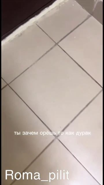 #кот #перепутал #прикол смотреть онлайн