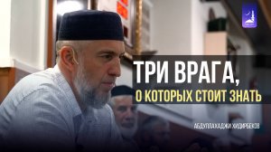 Три врага, о которых стоит знать / Абдуллахаджи Хидирбеков / Фатхуль Ислам