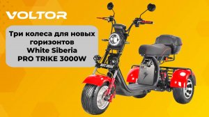 Три колеса для новых горизонтов — White Siberia PRO TRIKE 3000W