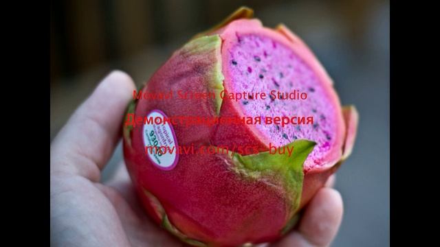 Драконий глаз - питахайя смотреть онлайн