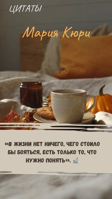 Цитаты 2 смотреть онлайн