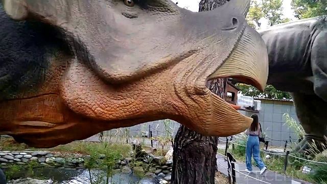 Динопарк в Геленджике. смотреть онлайн