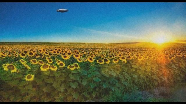 Камилла смотреть онлайн