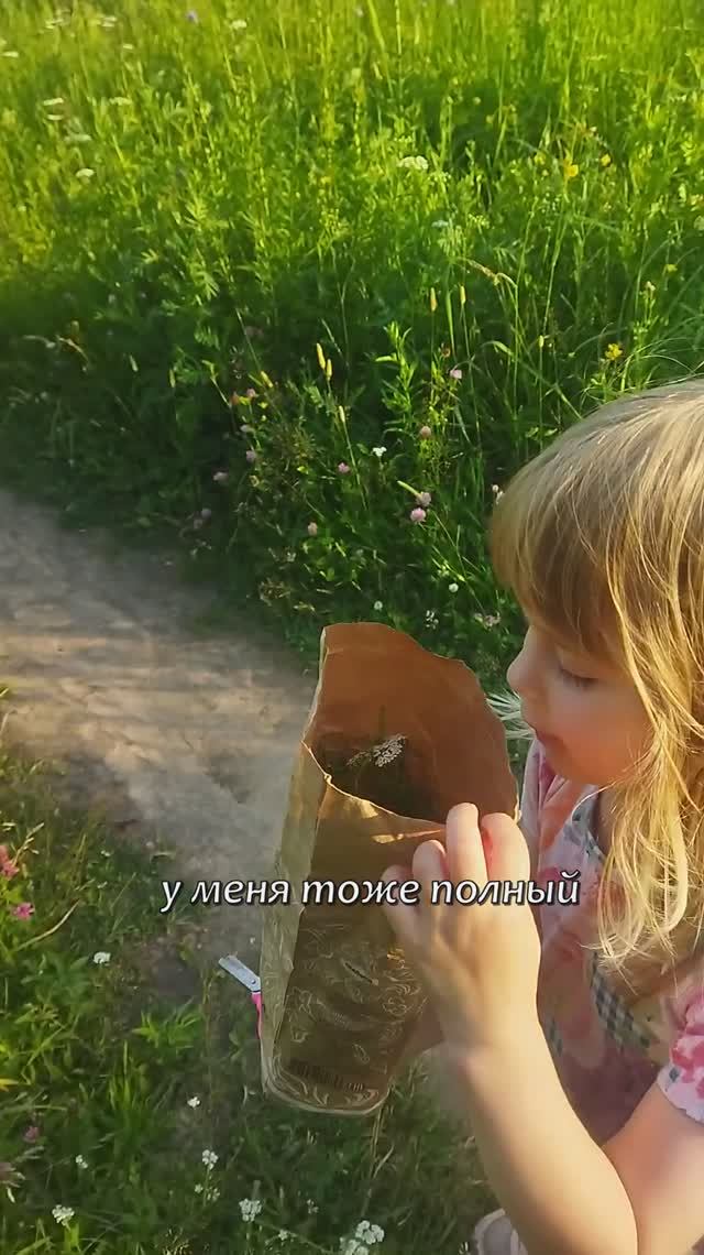 типичная прогулка, когда в семье две травницы :)