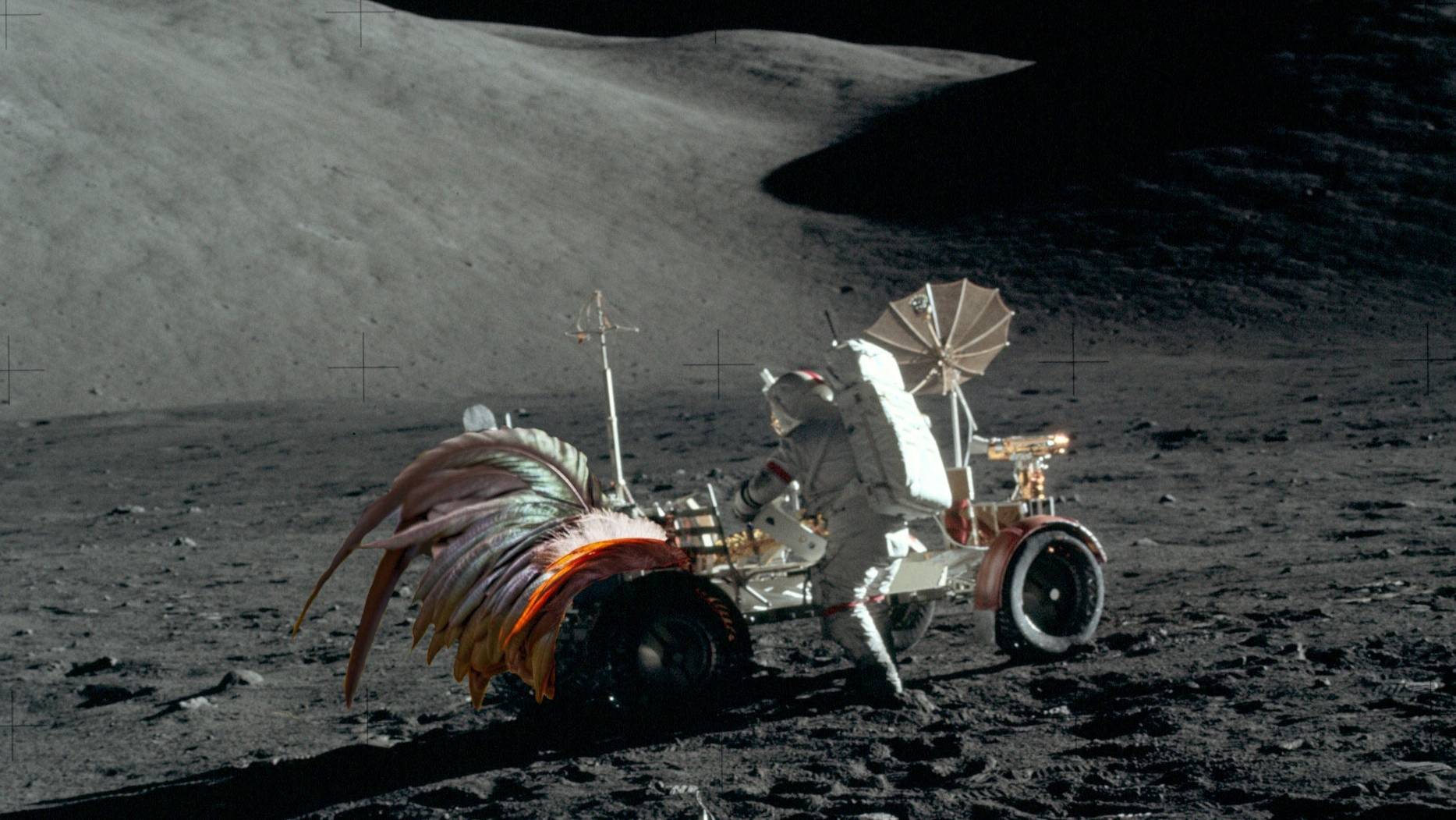 Лунный ровер - кошмарная тайна петушиных хвостов смотреть онлайн