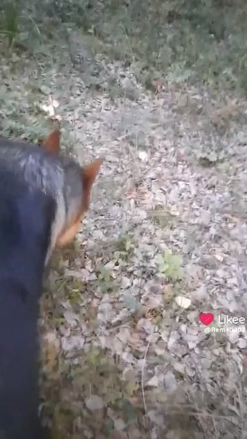 Каждый миг как встреча смотреть онлайн