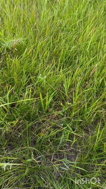 ее улыбка... 3