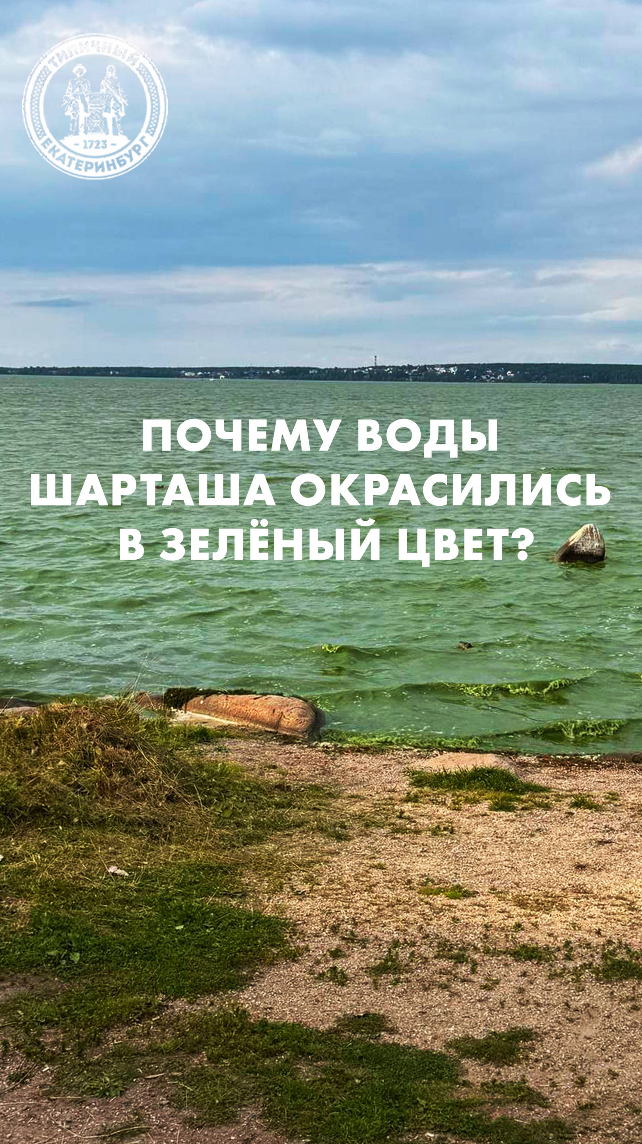 Почему воды озера Шарташ окрасились в зелёный цвет? смотреть онлайн