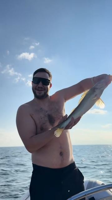 Сауна баня Питер смотреть онлайн