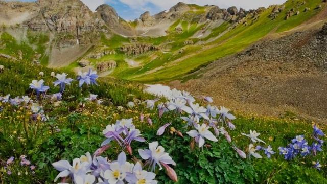 Армянская свадьба смотреть онлайн