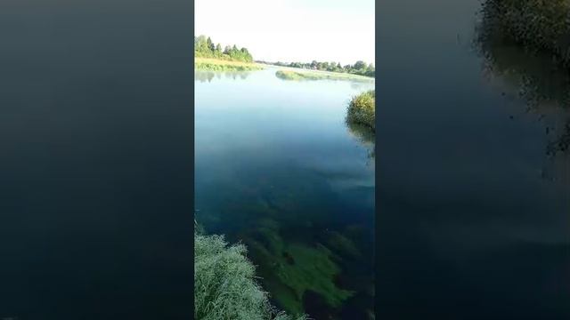 Утро у Река смотреть онлайн