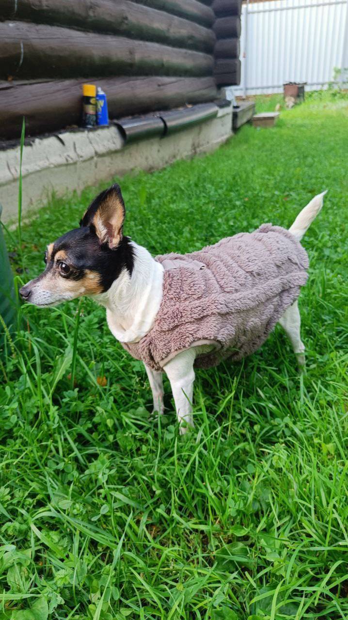 Элис готовится к зиме, ведь август на дворе смотреть онлайн